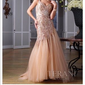 Terani Couture Pageant Collection